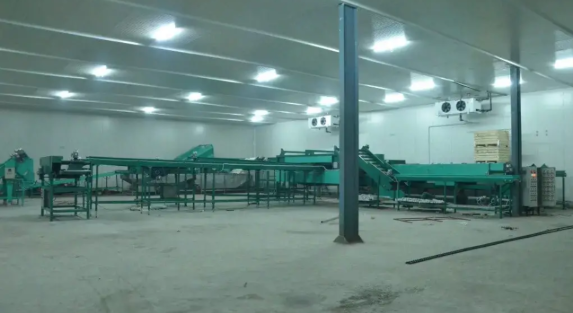 How to Choose a Cold Storage Room in Saudi Arabia