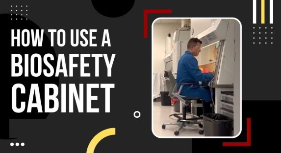 How to Properly Use a Laboratory Biosafety Cabinet