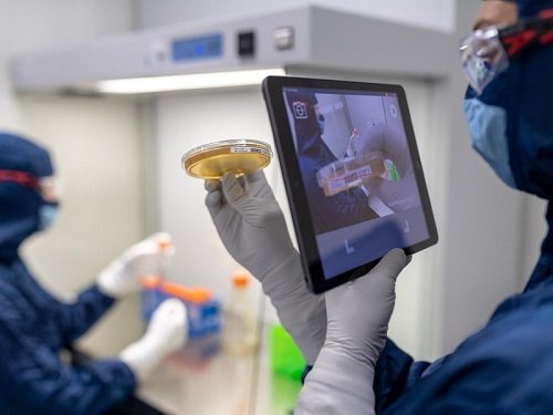 Why Settles Plates are crucial in Medicinal Clean Rooms